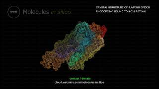 Molecules in silico ･ CRYSTAL STRUCTURE OF JUMPING SPIDER RHODOPSIN1 BOUND TO 9CIS RETINAL [upl. by Ardiek522]