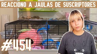 REACCIONO a JAULAS para HAMSTER de SUSCRIPTORES [upl. by Anaeco5]