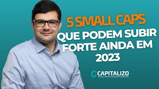 5 SMALL CAPS COM FORTE POTENCIAL DE CRESCIMENTO AINDA PARA 2023  MYPK3 FRAS3 ARML3 VLID3 TEND3 [upl. by Aneehsirk]