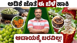 How to grow Arecanut Plant Integrated Arecanut Farming Details In Kannada  Betel Nut Cultivation [upl. by Sirroned794]