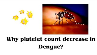 Why platelet count decrease in dengue ll Thrombocytopenia ll [upl. by Obara]