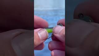 How To Rig a Weedless Ned Rig A StepbyStep Guide shorts fishing [upl. by Kwang]