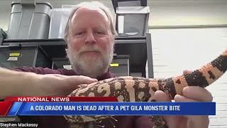 Colorado man dies after bite from pet Gila Monster [upl. by Adnalue]