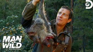 Bear Grylls JawDropping Hunt for a Wild Pig  Man Vs Wild  Discovery [upl. by Nywnorb]