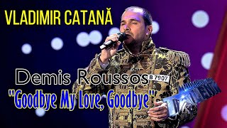 Romanii Au Talent 2022 Vladimir Catana  ULUITOR ♫ Cover Demis Roussos  Goodbye My Love Goodbye [upl. by Marston]