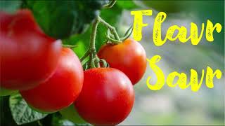 Flavr Savr tomato Anti sense RNA technology [upl. by Anaibaf]