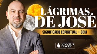 As lágrimas de José significado espiritual  Como entrar no propósito de DeusViniciusIracet [upl. by Bamford723]