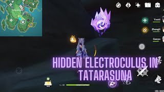 Hidden Electroculus in Tatarasuna Island  Genshin Impact Inazuma [upl. by Eissej]