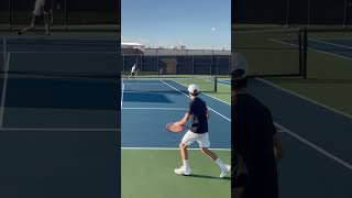 Isner vs Schwartzman tennis tennislife tennisplayer atp tenniscourts shorts [upl. by Yseulte5]