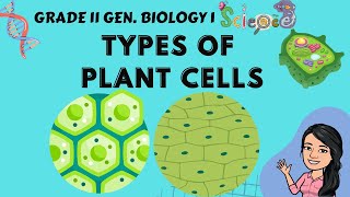 Types of Plant Cells  Grade 11 General Biology 1 Tagalog [upl. by Oidualc]