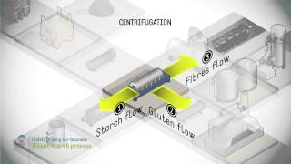 Wheat starch process [upl. by Adora]