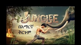 🛑junglee የህንድ የትርጉም ፊልም tergum film Amharic Lyric wase 2022 Netsebraq [upl. by Ellehcyar]