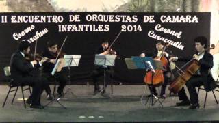 Schubert Quinteto para 2 Cellos [upl. by Ark]