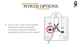 Honeywell T6 PRO Thermostat User Manual [upl. by Kylila]