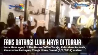 Penggemar Luna Maya Kepung The House Coffee Toraja [upl. by Sajovich]