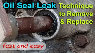 Remove Leak Shift shaft Oil Seal Easy using Screw  Replace STX motorcycle leak oil seal  technique [upl. by Kanter213]