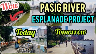 AMAZING PASIG RIVER ESPLANADE PROJECT FROM AYALA BRIDGE TO JONES BRIDGE UPDATE AUGUST 18 2020 [upl. by Akanke524]