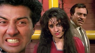 Ghayal Movie सनी पाजी की Girlfriend को किया किडनैप  जबरजस्त Action amrishpuri sunnydeol [upl. by Ecnav]