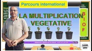 multiplication végétative chez les plantes [upl. by Hareema697]