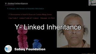 Y Linked Inheritance Biology Lecture  Sabaqpk [upl. by Akkinahs]