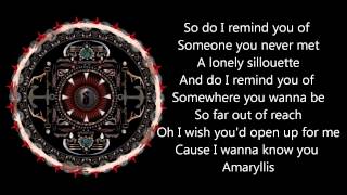 Shinedown  Amaryllis with lyrics [upl. by Nivrac]