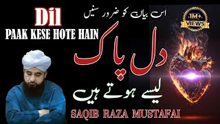 Dil Paak Kese Hote Hain  Muhammad Raza Saqib Mustafai [upl. by Ydnagrub]