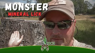 Monster MINERAL LICK for Deer [upl. by Novyar846]