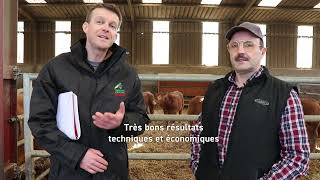 Partage de pratique  un mash fermier broutard performant [upl. by Levona]