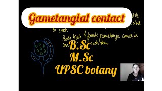 What is Gametangial Contact  Types of gametic fusion in fungi  Biology By Neha🌻 [upl. by Llerol127]