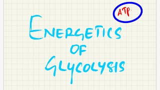 Energetics of glycolysis  aerobic condition anaerobic condition in RBC  GANGLION [upl. by Hacissej]