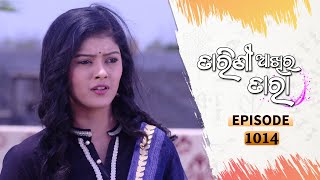 Tarini Akhira Tara  Full Ep 1014  3rd May 2021  Odia Serial – TarangTV [upl. by Llenoil]