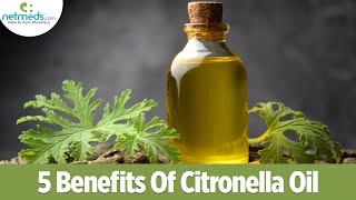 5 Excellent Benefits Of Citronella Essential Oil [upl. by Ploss]