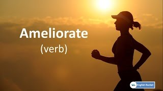 Essential English Vocabulary Lesson 8  Ameliorate [upl. by Farrar]