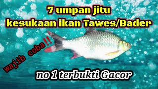 🔴ini dia ‼️ 7 umpan paling jitu untuk Mancing ikan Tawesbader  No 1 gacornya nggak ada obat❗️ [upl. by Enirehtak]