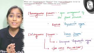 What are chasmogamous flowers Can crosspollination occur in cleis [upl. by Nnaharas]