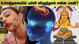 பல்லி விழும் பலன்கள்  அடடா ஆன்மீகம்  Aadhan Aanmeegam [upl. by Ahsym]