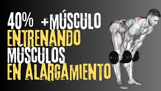 40 más ganancias de músculo entrenando los músculos en posiciones alargadas en un nuevo estudio [upl. by Hussein]