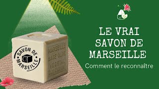 Fabrication du vrai SAVON DE MARSEILLE ⭐🌱 [upl. by Delastre360]