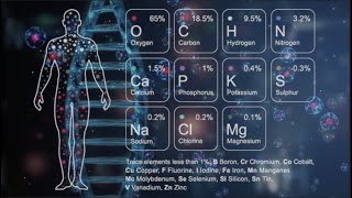 Biochemia przebudzenia nadświadomości 1  Wielkie odnowienie  Wprowadzenie [upl. by Adyela]