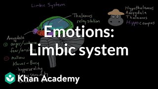 Emotions limbic system  Processing the Environment  MCAT  Khan Academy [upl. by Lustig741]