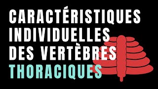 T1 T10 T11 T12  Caractéristiques INDIVIDUELLES des vertèbres THORACIQUES [upl. by Freeborn]