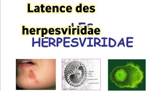 Latence des herpesviridae [upl. by Bary898]