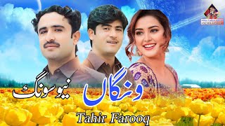 Wangan  Tahir Farooq New Song 2024  New Saraiki Song 2024 [upl. by Trautman]