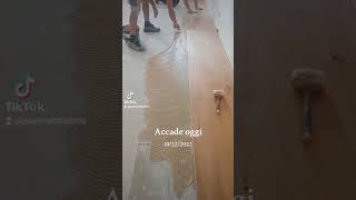 Parquet wood parquet shortsvideo milano legno italy interiordesign [upl. by Onitsuj]