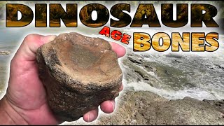 Fossil Hunting for DINOSAUR BONES on TEXAS River  Mosasaur Vertebrae Fossils  October 2024 [upl. by Hwu]