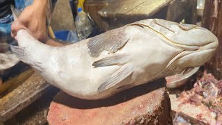 12 KG Giant Hamour Fish Cutting Skills In Bangladesh Fish Market  Fish Cutting Skills [upl. by Acirdna916]