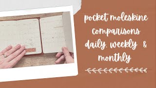 Pocket Moleskine  Daily Weekly amp Monthly [upl. by Gorlicki]