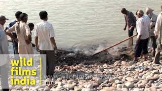 Hindu funeral rites at Chandi ghat of Haridwar [upl. by Ojillib364]