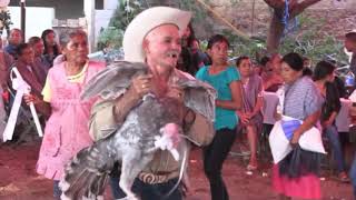 El Baile Del Guajolote De Los Padrinos Del Novio [upl. by Noryk]