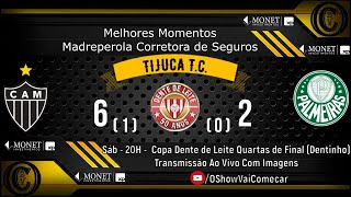 Melhores Momentos  Atletico Mineiro 61 x 02 Palmeiras  Quartas VOLTA  Dentinho  50º TTC [upl. by Chantal]